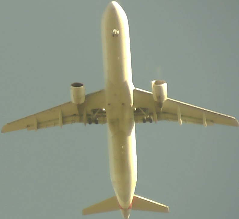 Airplane Picture