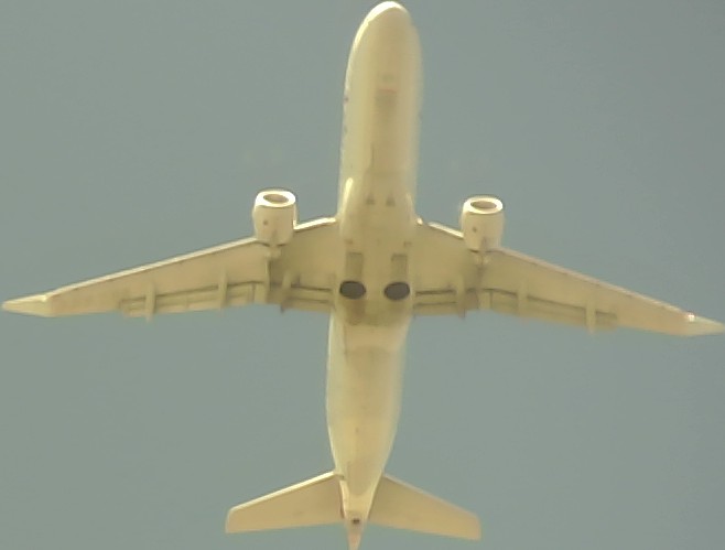 Airplane Picture