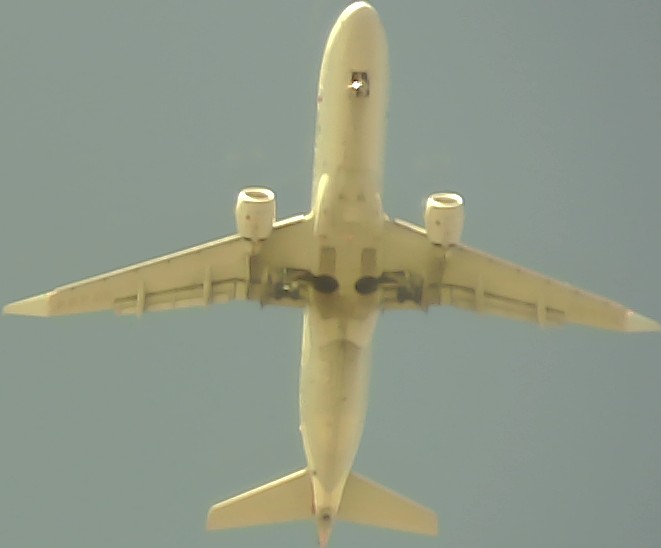 Airplane Picture