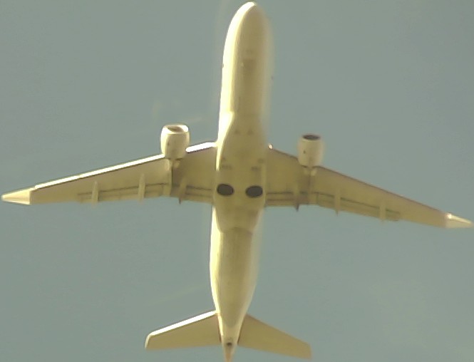 Airplane Picture