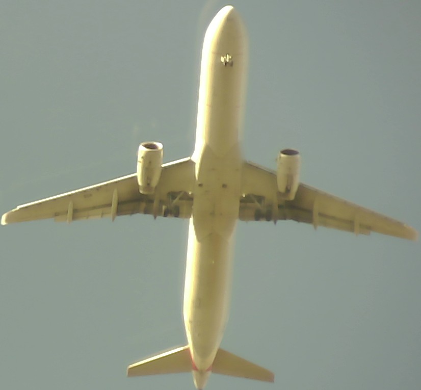 Airplane Picture