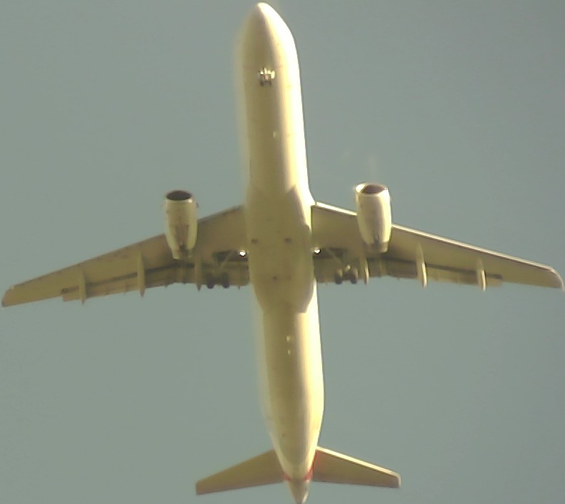 Airplane Picture