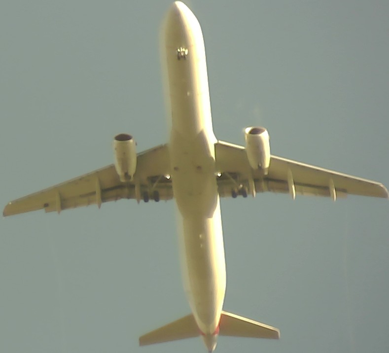 Airplane Picture