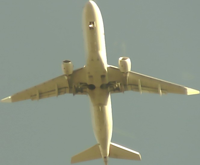 Airplane Picture