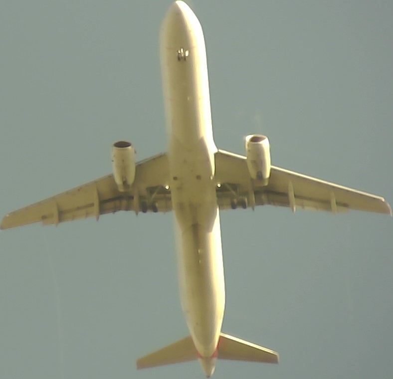 Airplane Picture