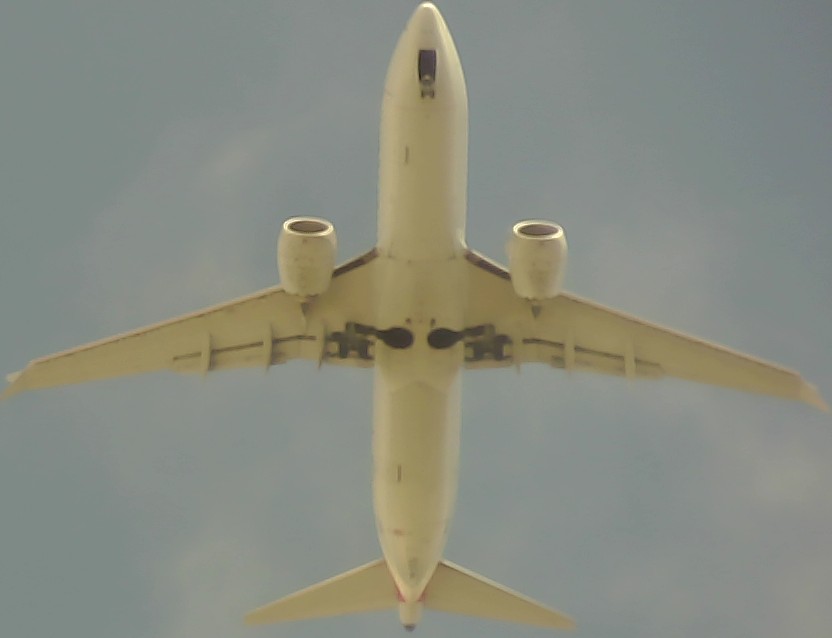 Airplane Picture
