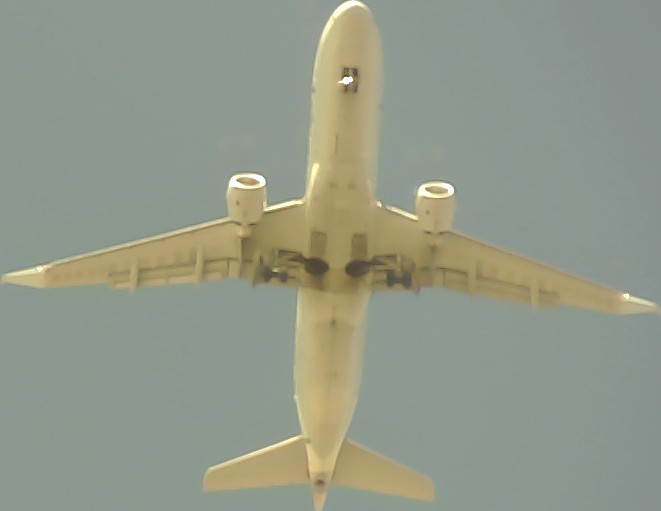 Airplane Picture