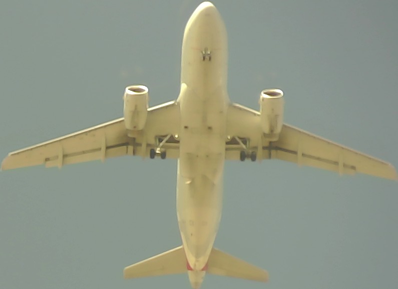 Airplane Picture