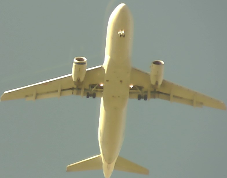 Airplane Picture