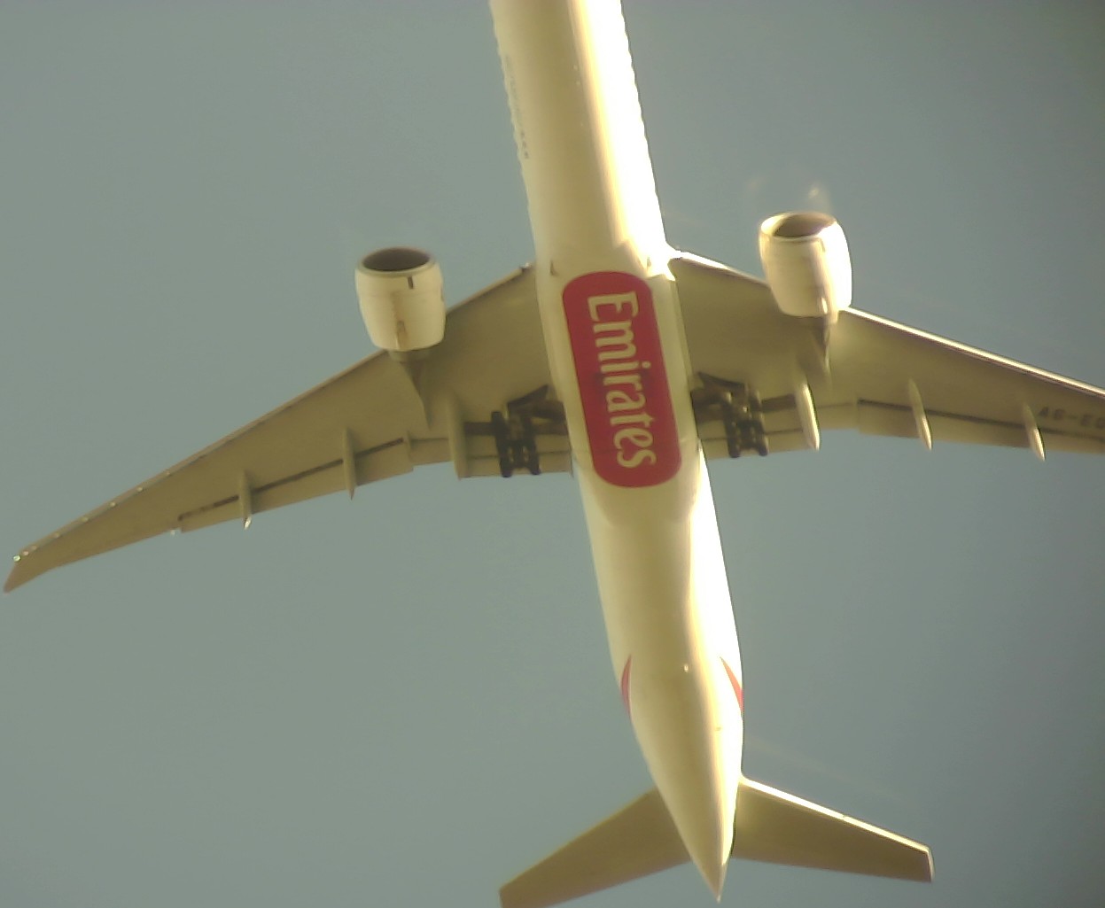 Airplane Picture