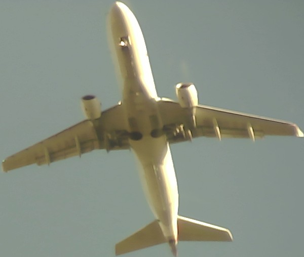 Airplane Picture