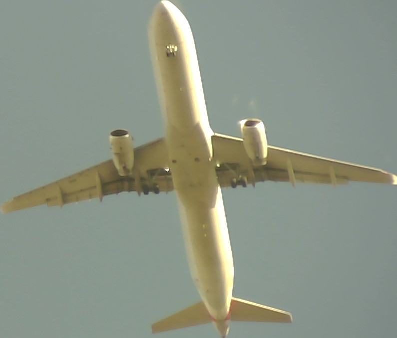 Airplane Picture