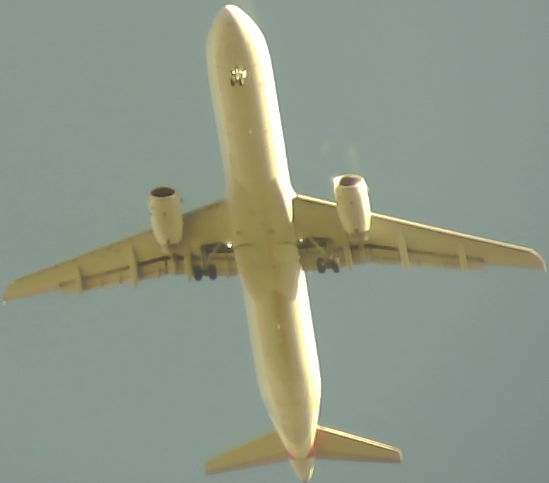 Airplane Picture