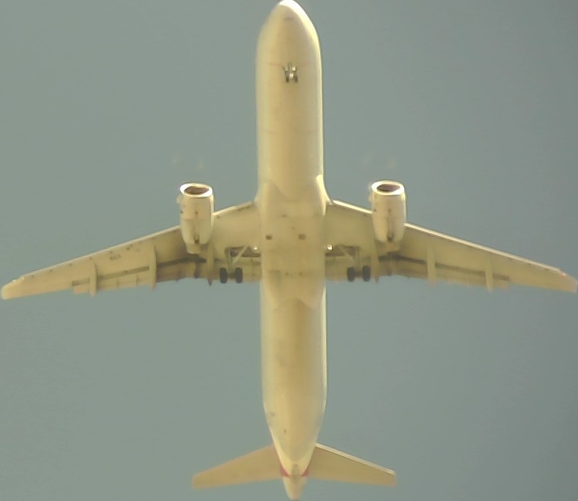 Airplane Picture