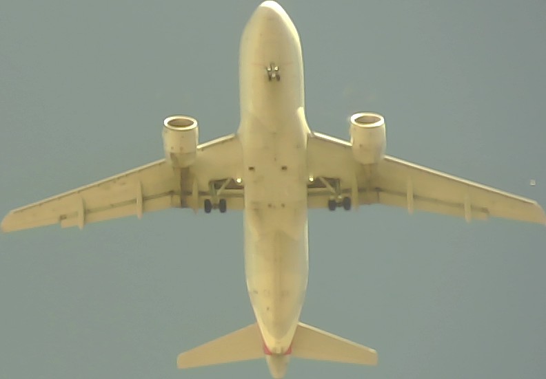 Airplane Picture