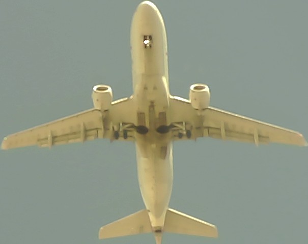 Airplane Picture