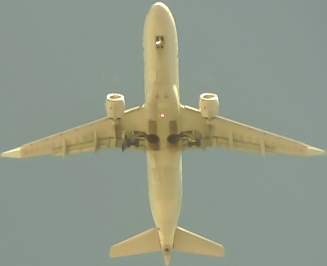 Airplane Picture