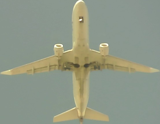 Airplane Picture