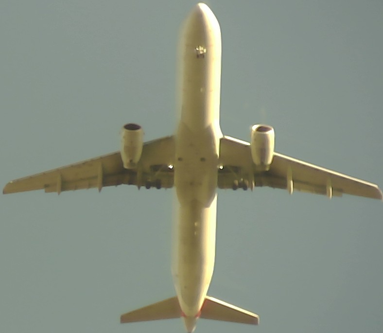 Airplane Picture