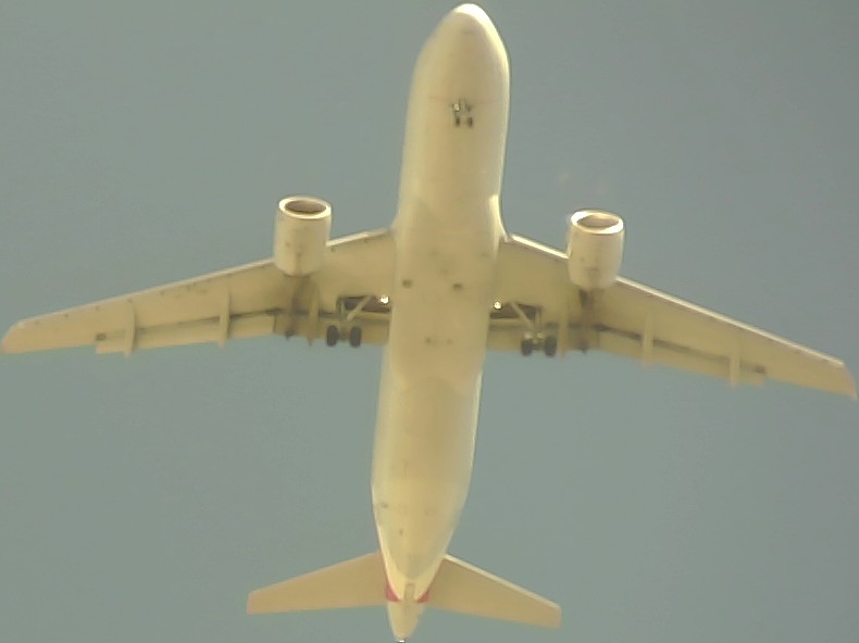 Airplane Picture