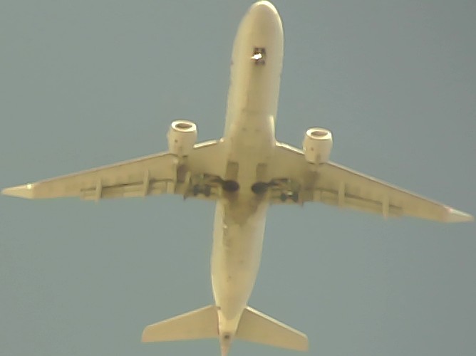 Airplane Picture