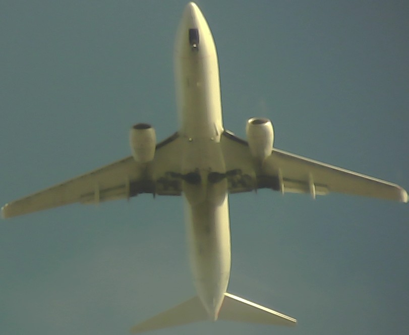 Airplane Picture