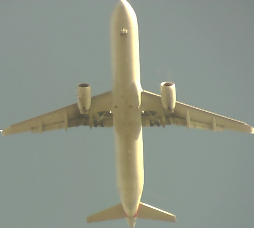 Airplane Picture