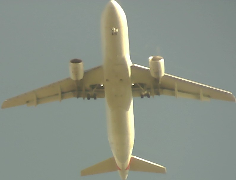 Airplane Picture