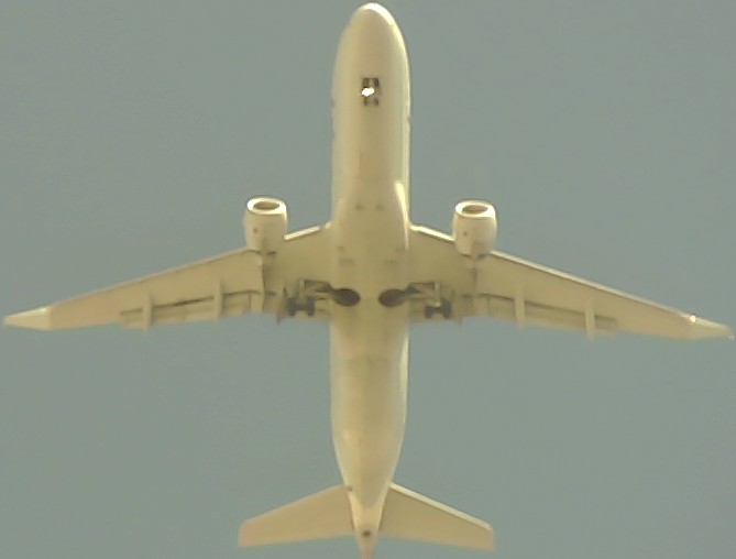 Airplane Picture