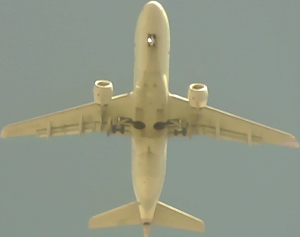 Airplane Picture