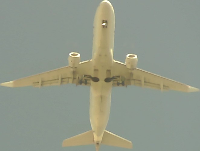 Airplane Picture
