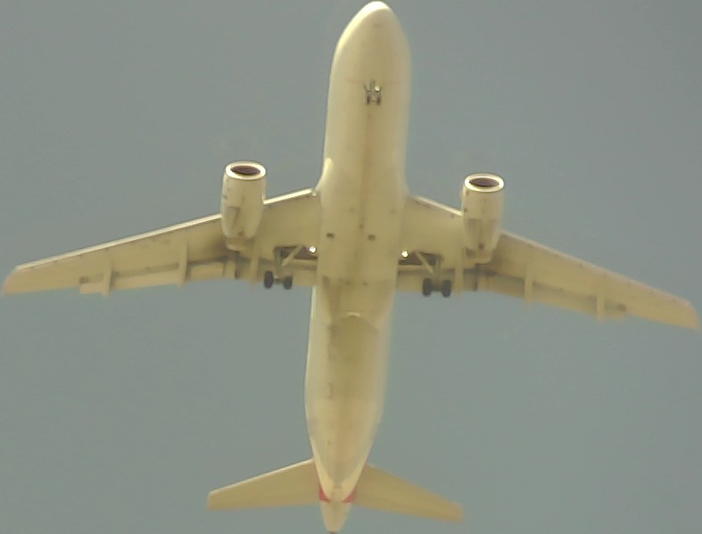Airplane Picture