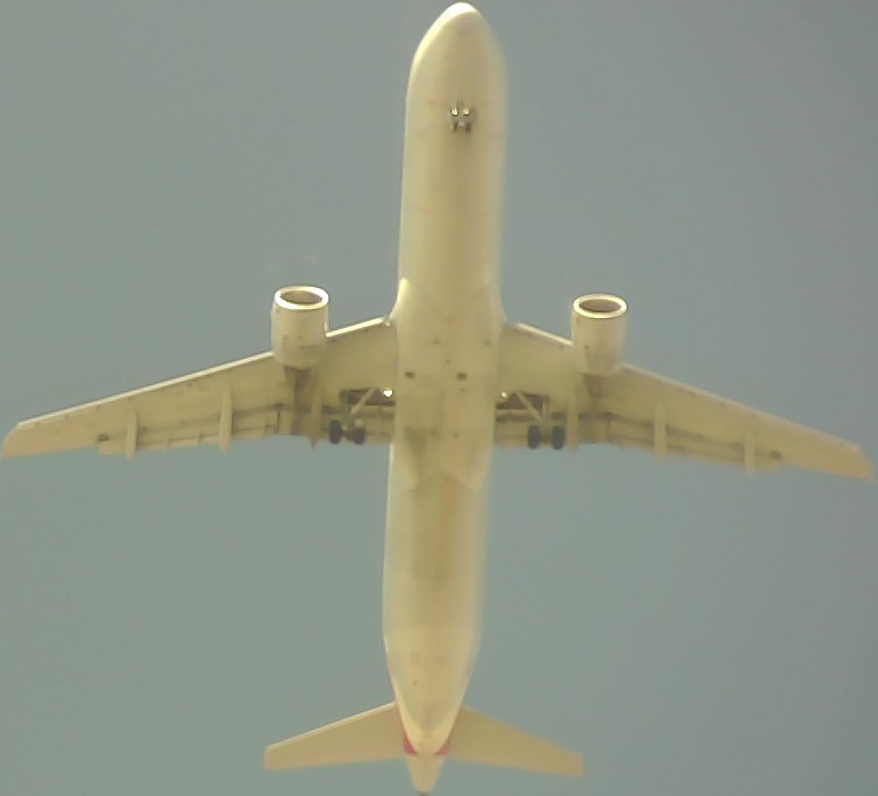 Airplane Picture