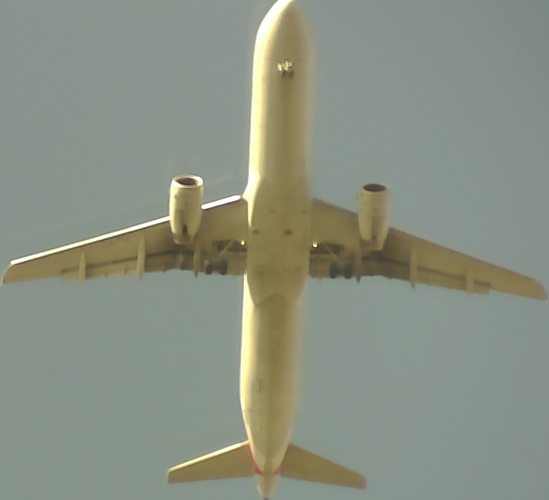 Airplane Picture