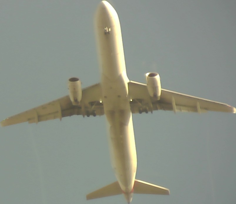 Airplane Picture