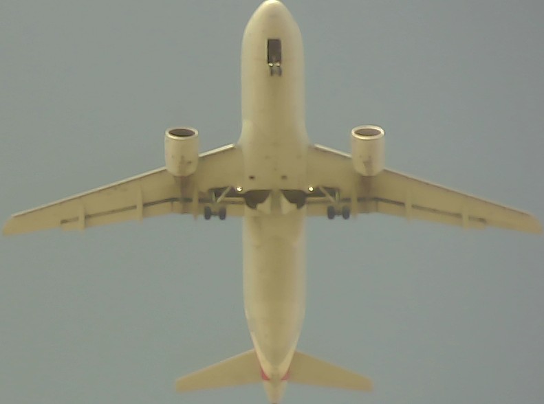 Airplane Picture