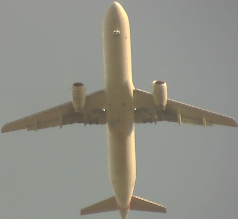 Airplane Picture