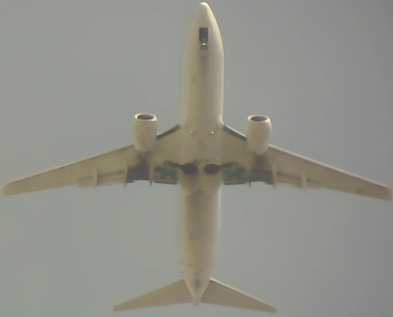 Airplane Picture