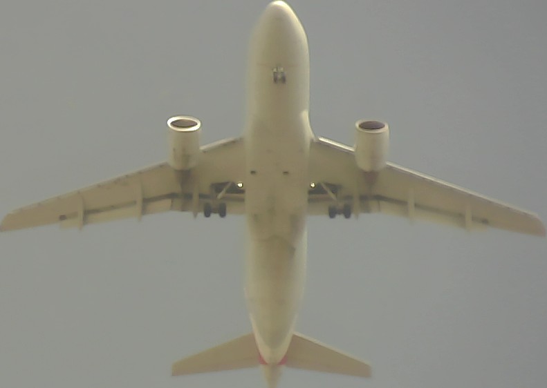 Airplane Picture