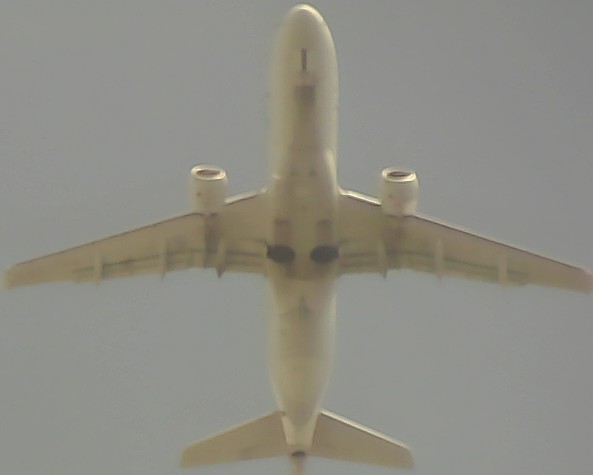 Airplane Picture