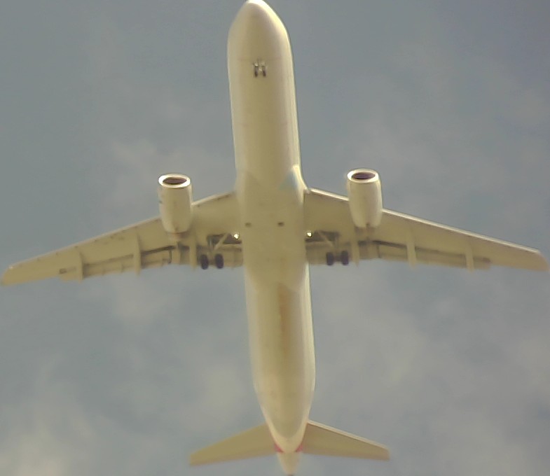 Airplane Picture