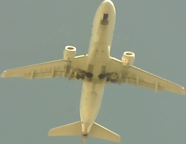 Airplane Picture
