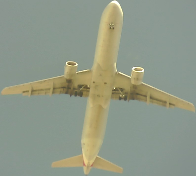 Airplane Picture