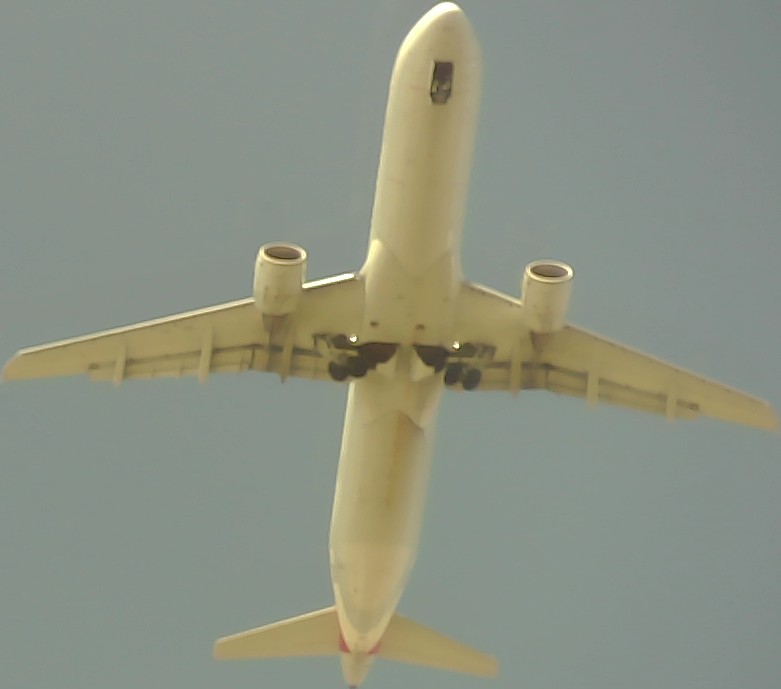 Airplane Picture