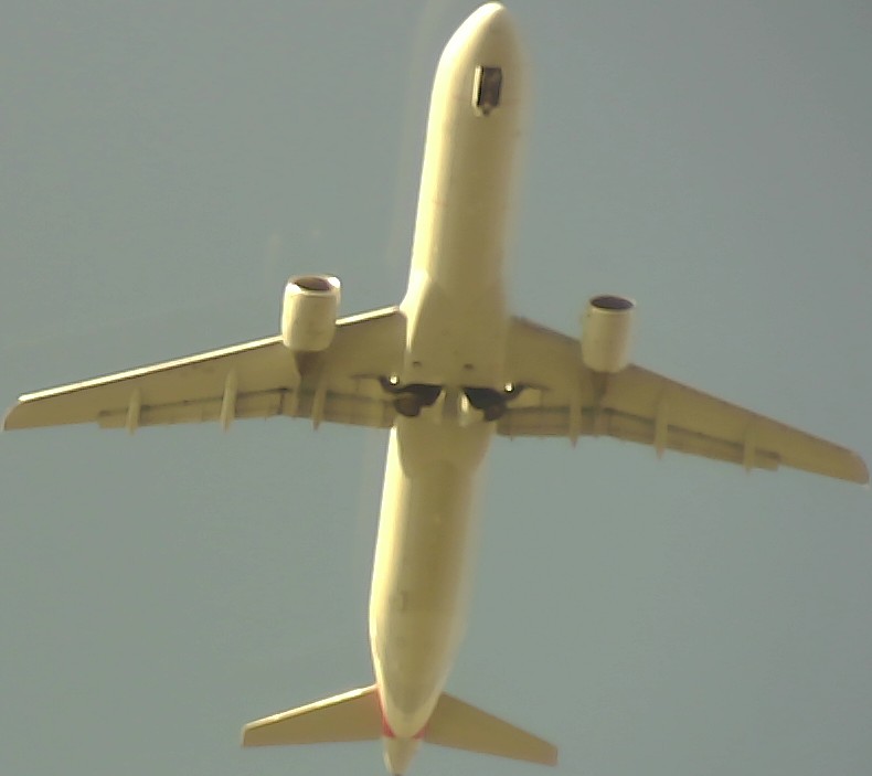 Airplane Picture