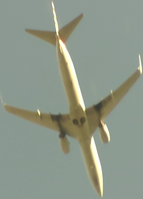 Airplane Picture