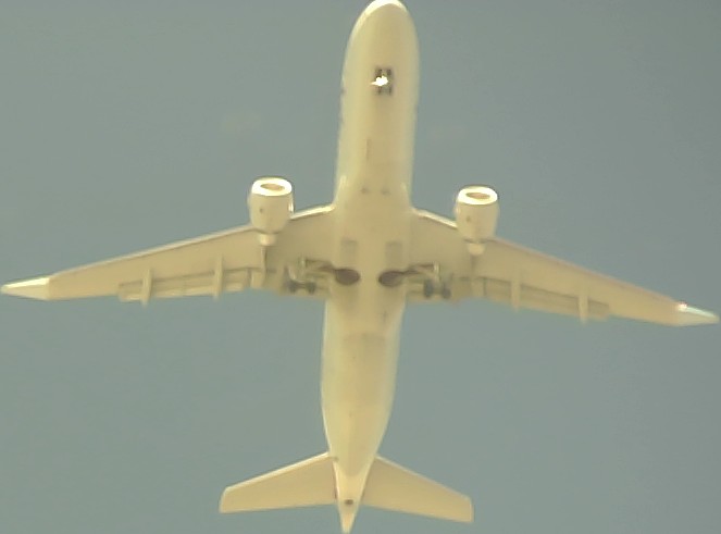 Airplane Picture