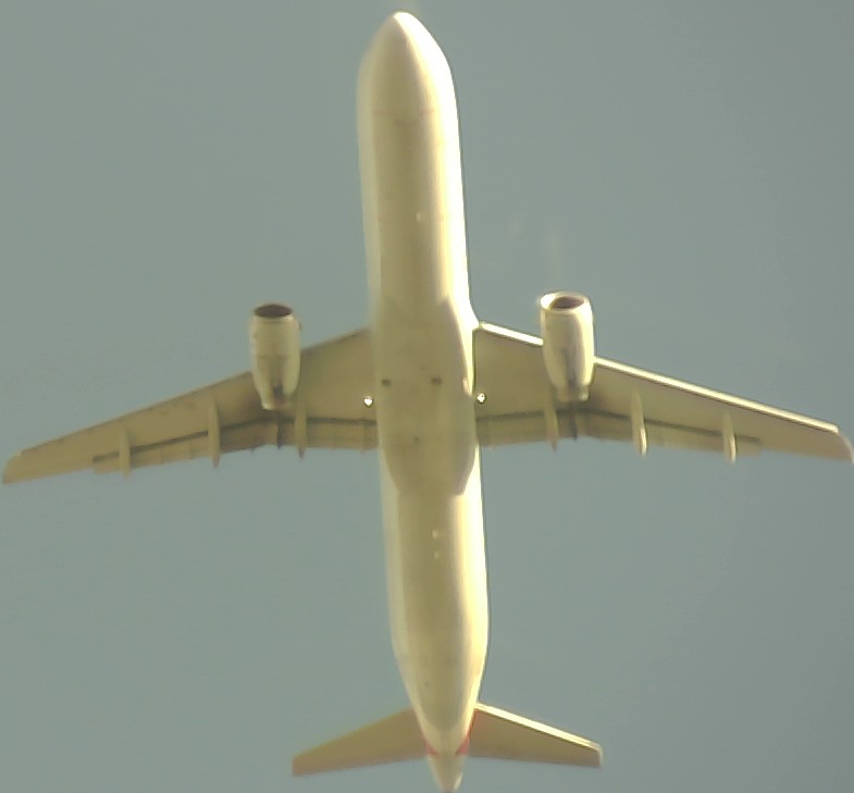 Airplane Picture