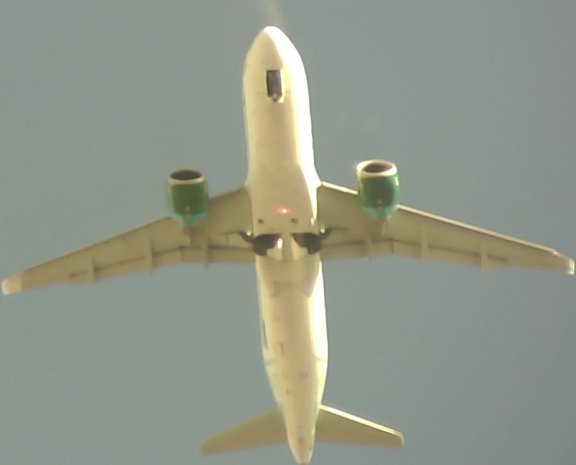 Airplane Picture