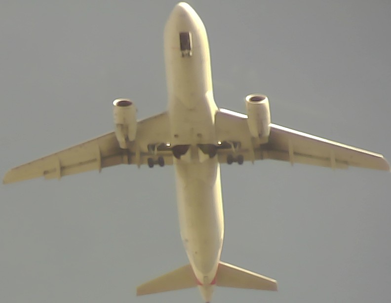 Airplane Picture